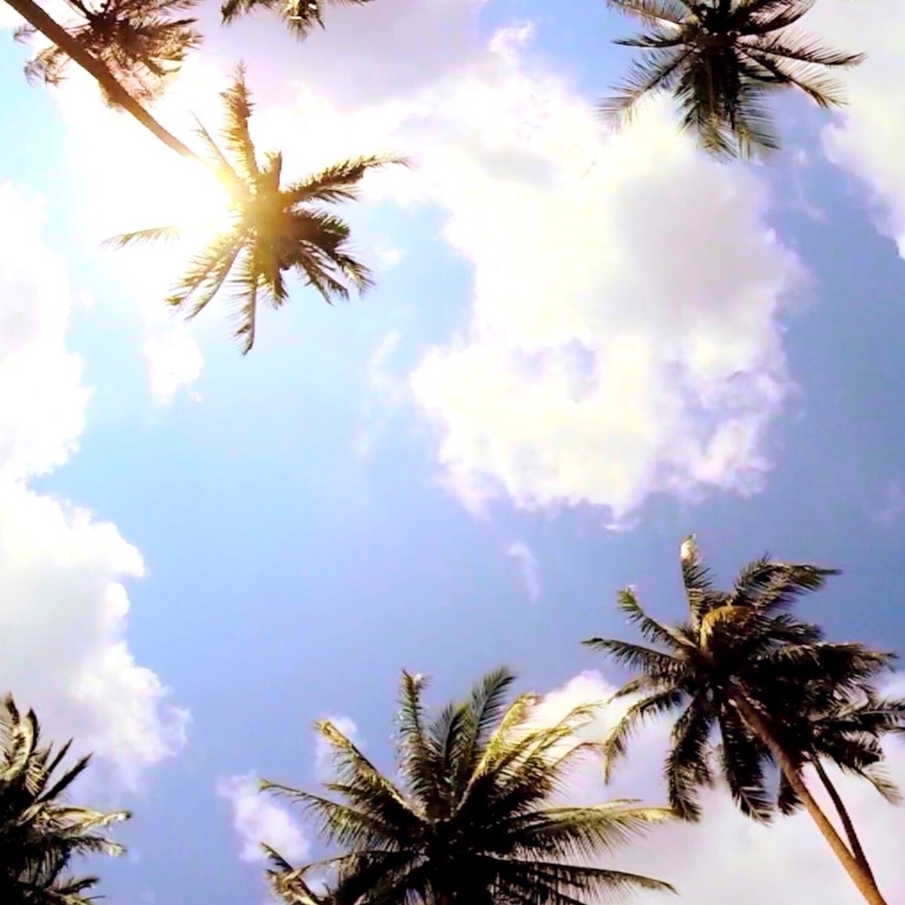 Meet your Posher, Laci